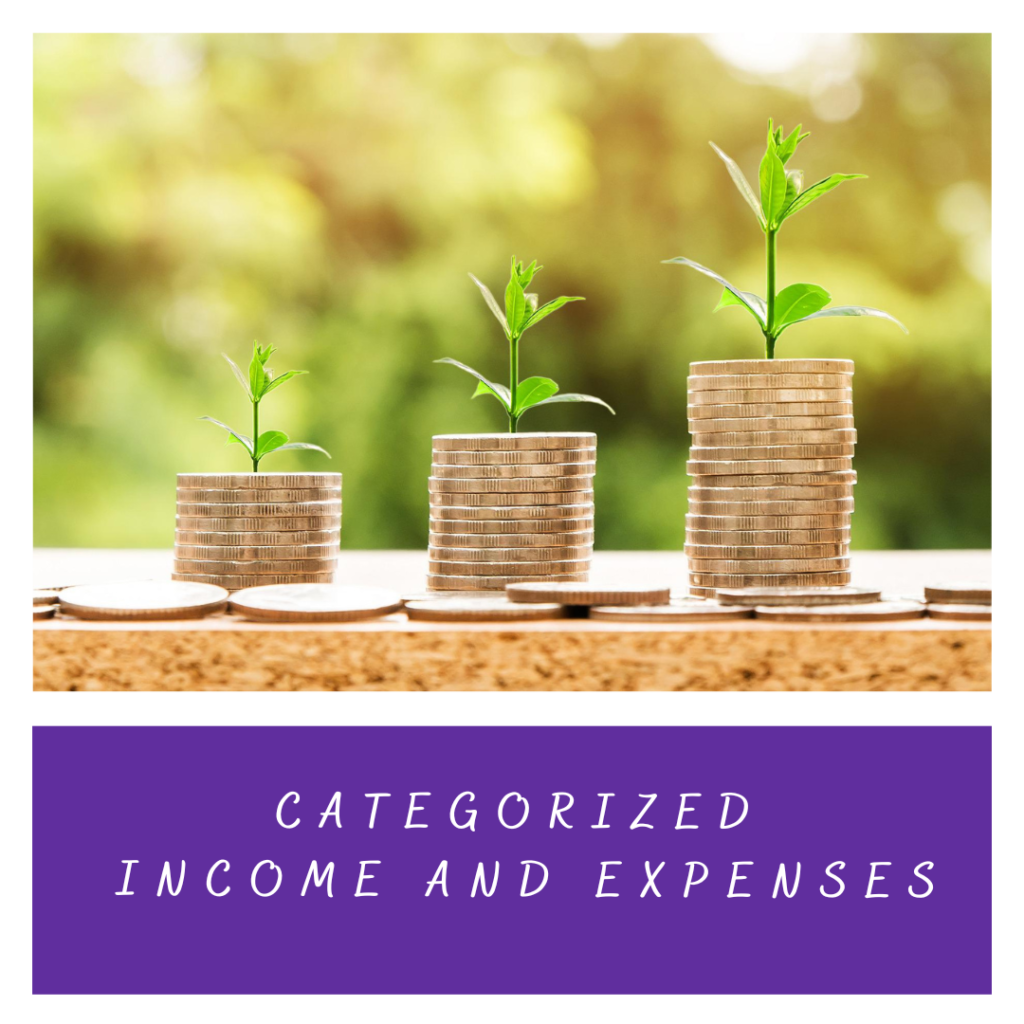 Categorized Income and Expenses